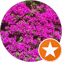 Carla Redondo profile picture